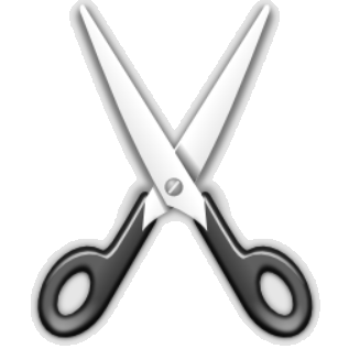 Salon Appointment Software Tutorial